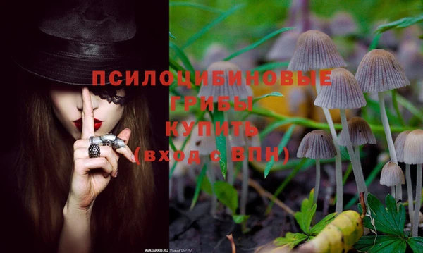 первитин Арсеньев